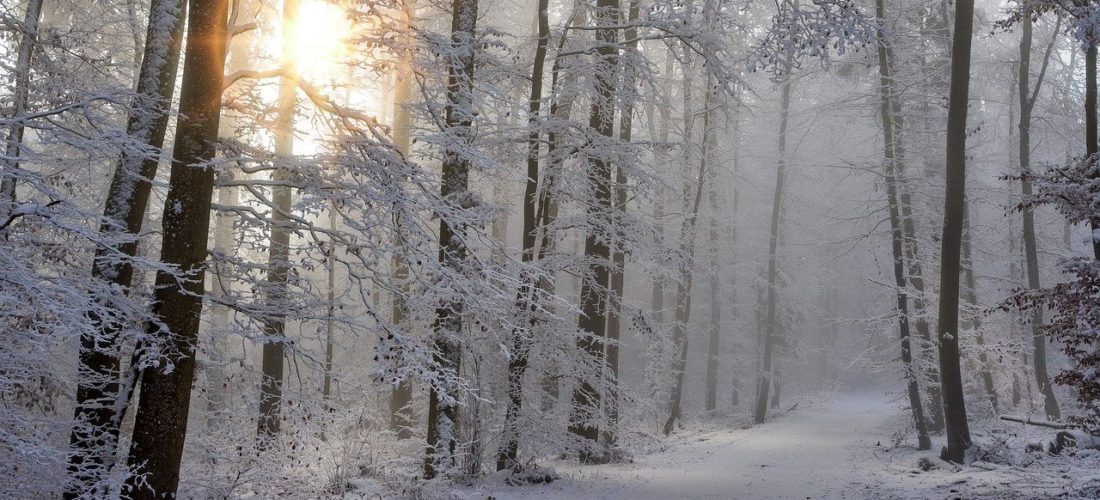 snow-4668099_1280 snow-4668099_1280